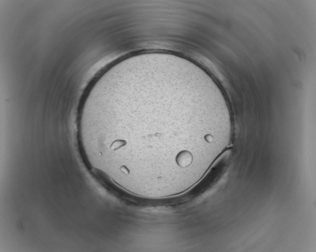 X0000113901133200910221433