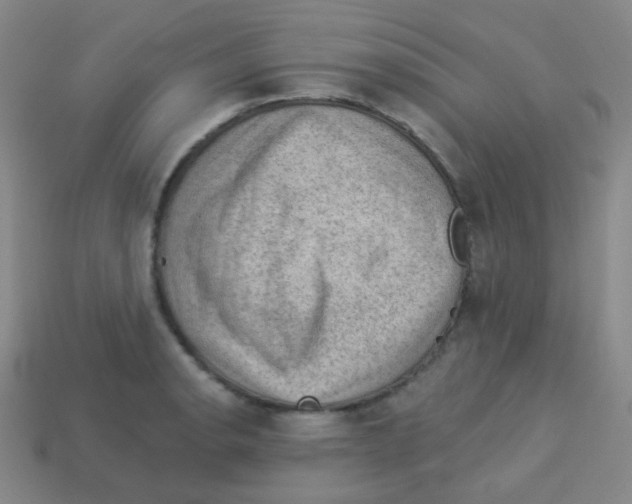 X0000113901134200910221433