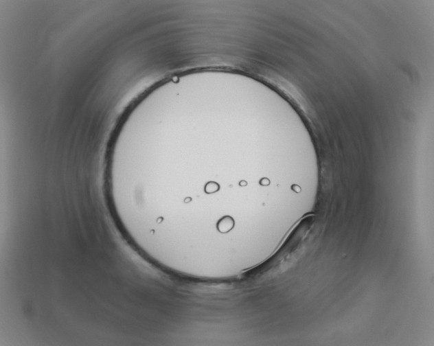 X0000113901135200910221433