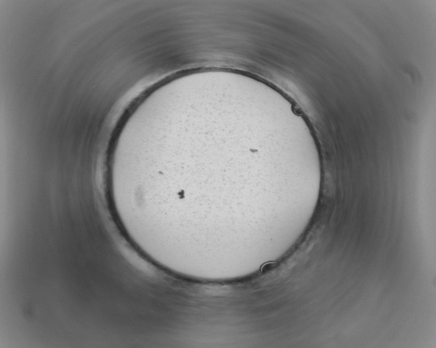 X0000113901136200910221433