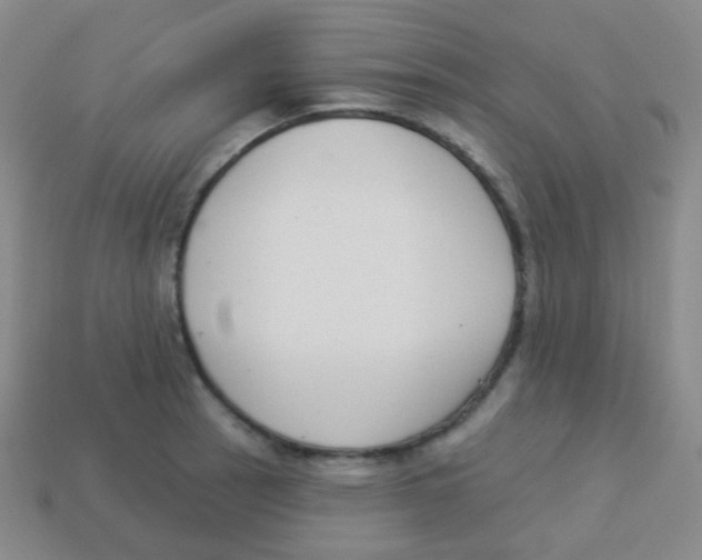 X0000113901137200910221433