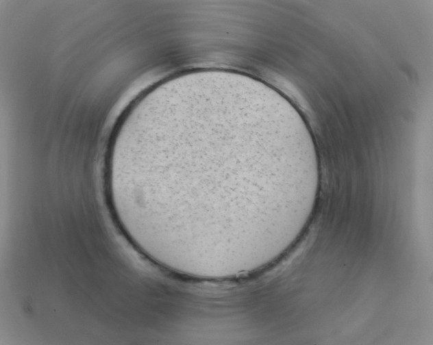 X0000113901138200910221433