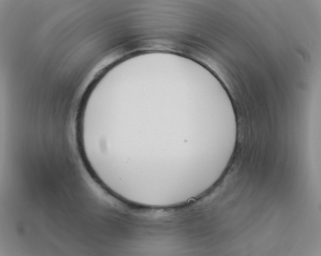 X0000113901139200910221433