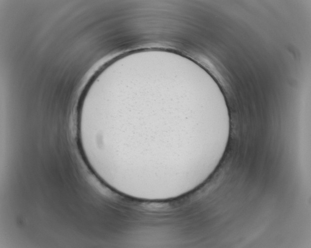 X0000113901140200910221433