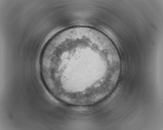 X0000113901141200910221433