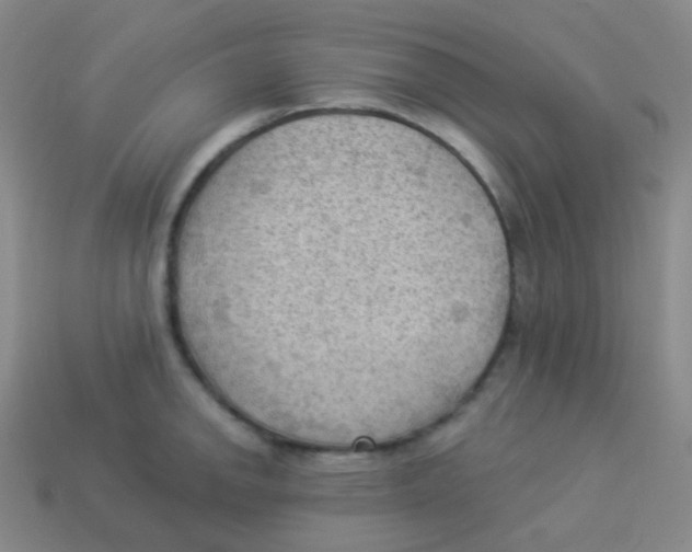 X0000113901142200910221433