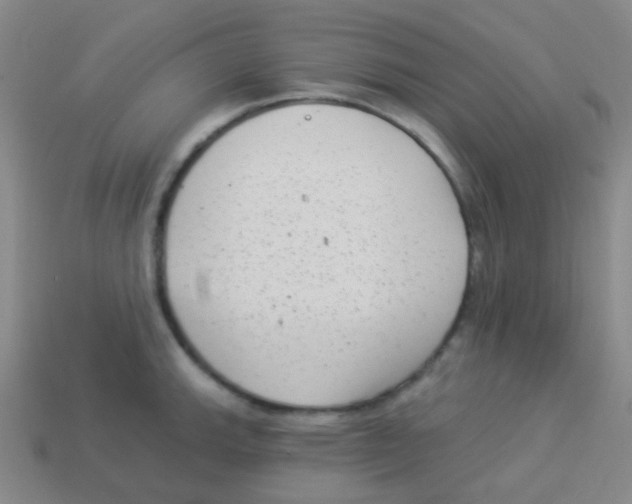 X0000113901143200910221433