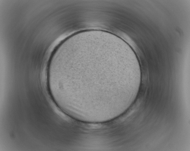 X0000113901144200910221433