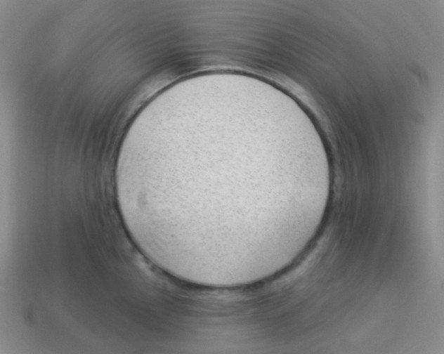 X0000113901145200910221433