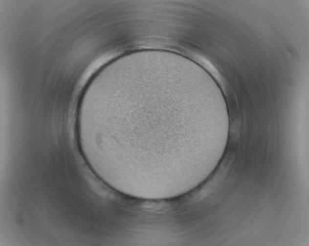 X0000113901146200910221433