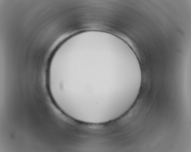 X0000113901147200910221433