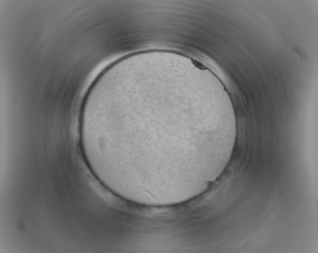 X0000113901148200910221433