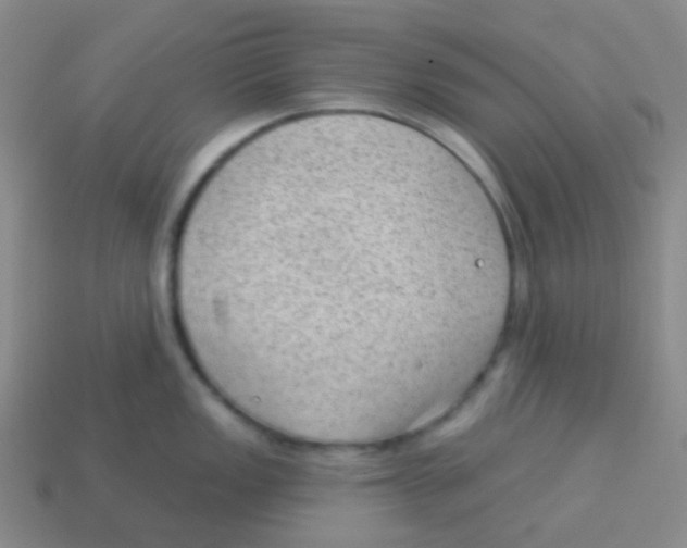 X0000113901149200910221433