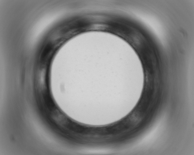 X0000113901150200910221433