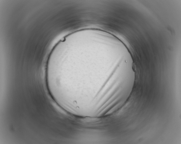 X0000113901151200910221433