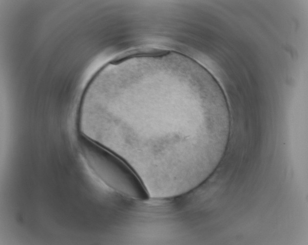 X0000113901152200910221433