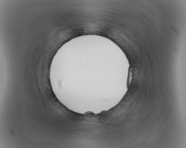 X0000113901153200910221432