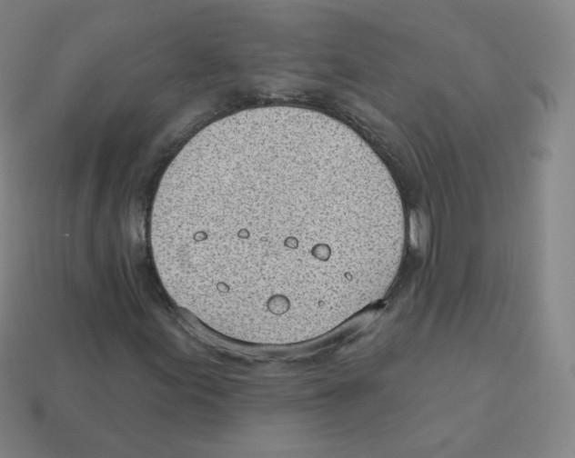 X0000113901155200910221432