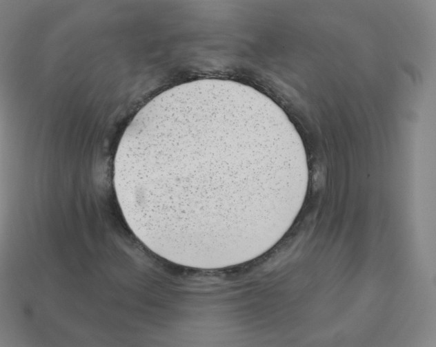 X0000113901156200910221432