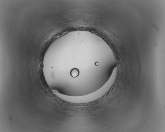 X0000113901157200910221432