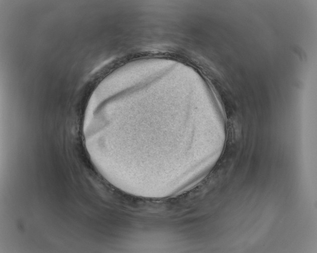 X0000113901158200910221432