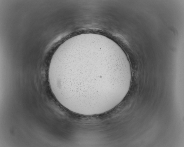 X0000113901159200910221432