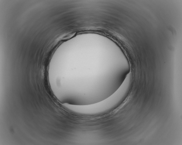 X0000113901161200910221432