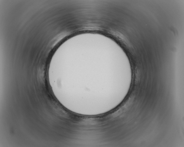 X0000113901162200910221432