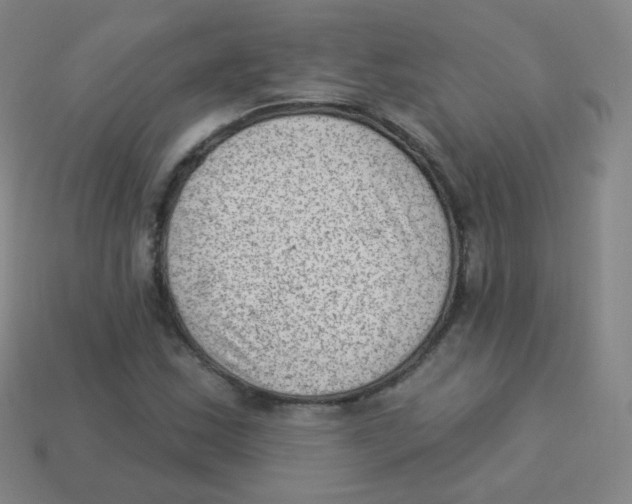 X0000113901163200910221432