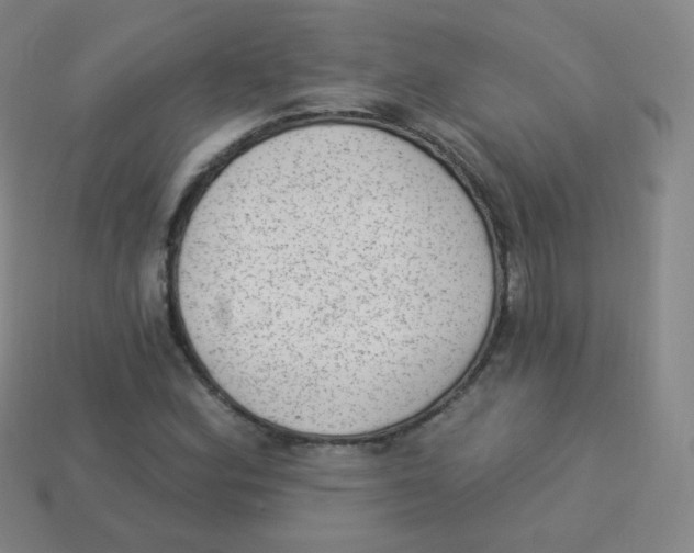 X0000113901164200910221432