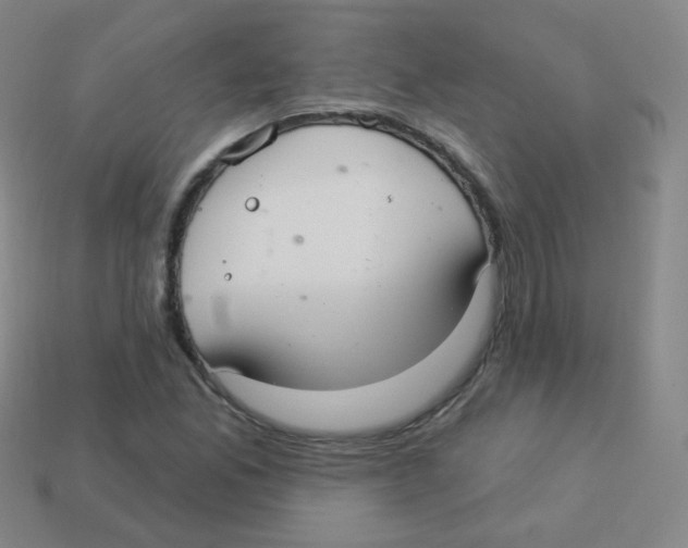 X0000113901165200910221432