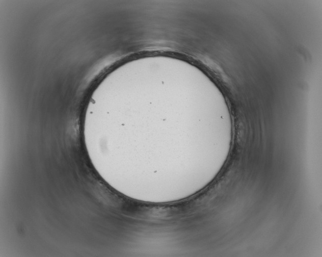 X0000113901167200910221432