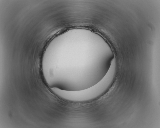 X0000113901169200910221432