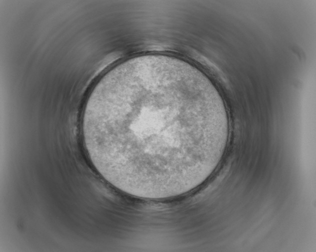 X0000113901170200910221432