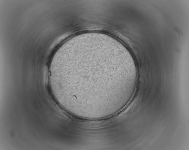 X0000113901171200910221432