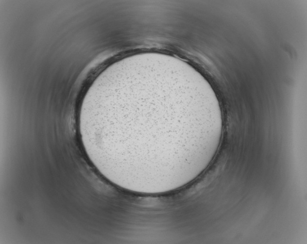 X0000113901172200910221432