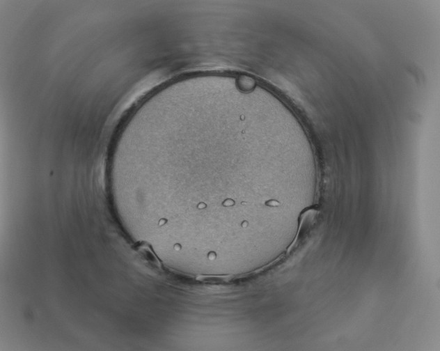 X0000113901173200910221432