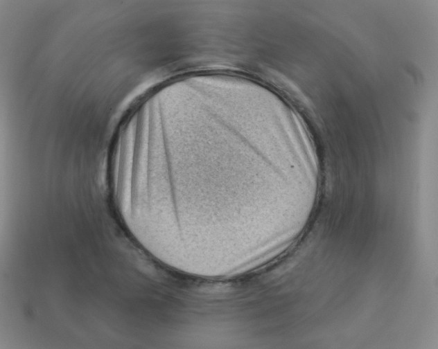 X0000113901174200910221432