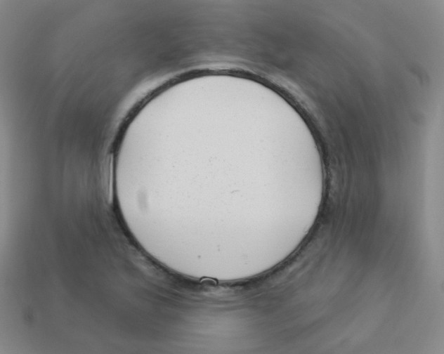 X0000113901175200910221432