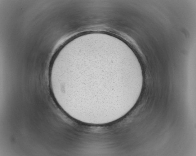 X0000113901176200910221432