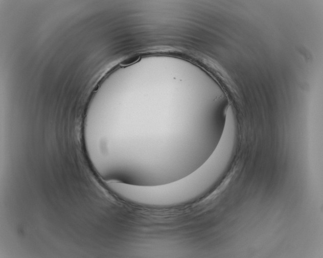 X0000113901177200910221432