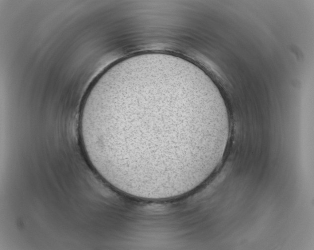 X0000113901178200910221432