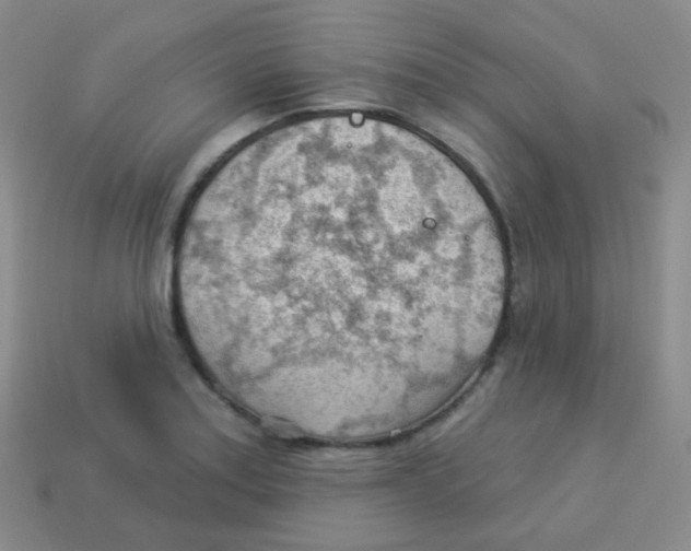 X0000113901179200910221432