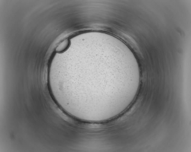 X0000113901180200910221432