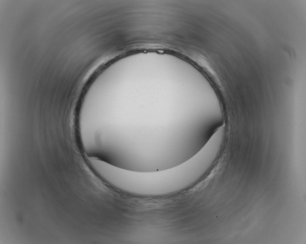 X0000113901181200910221432