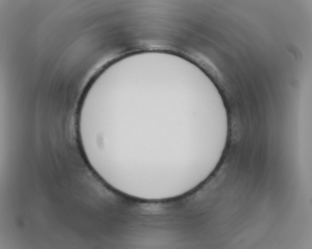 X0000113901182200910221432