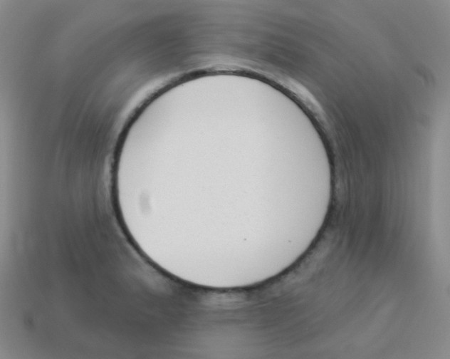 X0000113901183200910221432