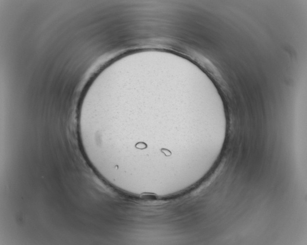 X0000113901184200910221432