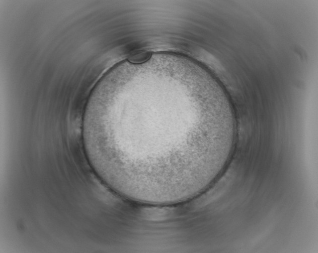 X0000113901185200910221432