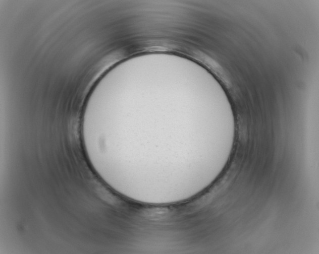 X0000113901186200910221432